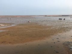 -刘家湾赶海园