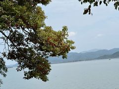 -东钱湖小普陀景区