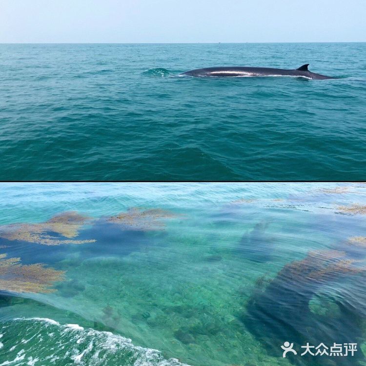 北海➕涠洲岛🌊最全旅游攻略‼️还可以看到鲸鱼🐳