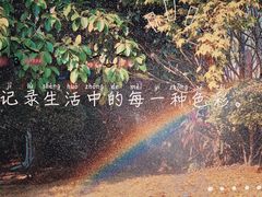 -五缘湾湿地公园