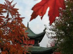 -东北农业大学