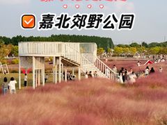 -嘉北郊野公园