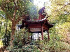 -杭州黄龙洞