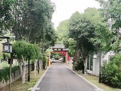 -西山人家·二十年老字号农家菜(旺山店)
