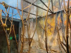 -泉城欧乐堡海洋极地世界