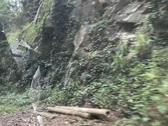 -永州阳明山国家森林公园