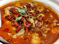 -付掌柜在成都·热炒砂锅集(金禾店)