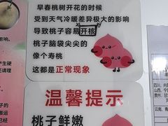 -老袁家蜜桃农场·阳山水蜜桃