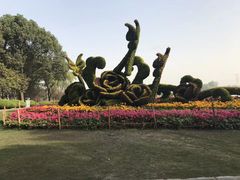 -昆山城市生态森林公园