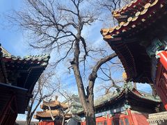 -贤良祠