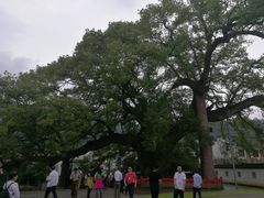 -新安江山水画廊风景区