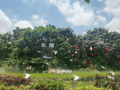 -广州长隆飞鸟乐园