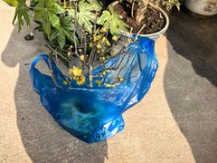 -双季花艺园艺市场(浦东店)