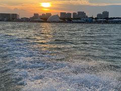 -碧海金沙