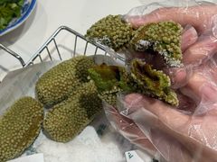 -逗号立方
