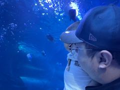 -太平洋海底世界