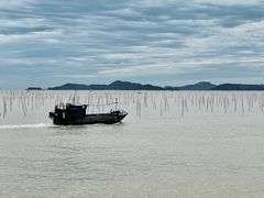 -北岐滩涂