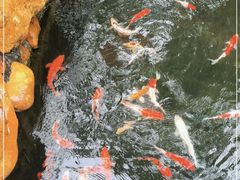 -云溪植物园