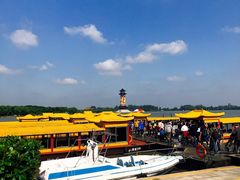 -溱湖国家湿地公园