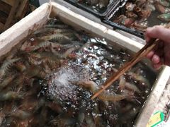 -青石桥市场北1-27号