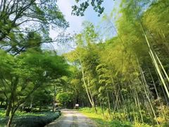 -黄公望隐居地