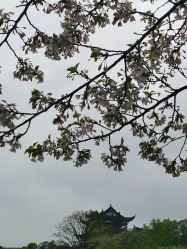 点击看大图 -晴川假日酒店·宴会厅·会议厅