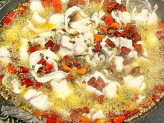 -金三可市井水煮鱼(金碧园店)