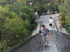 -千岛湖天屿景区