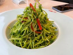 凉拌豆苗-伊祥·敦煌楼