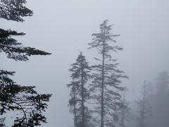 -瓦屋山景区