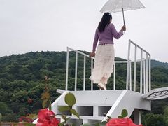 -龙寺生态园