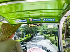 -广东惠东海龟国家级自然保护区