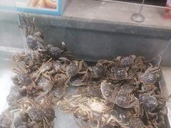 -悦橙烤肉海鲜自助(中央大街店)