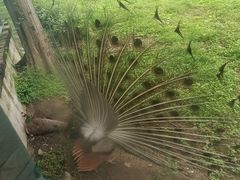-董寨国家级自然保护区白云保护站