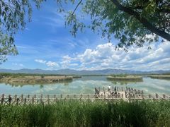 -野鸭湖国家湿地公园