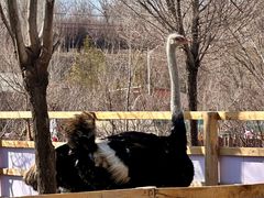 -水上乐园·欢乐世界