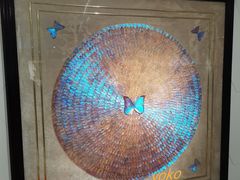 -上海昆虫博物馆