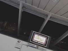 -招商蛇口邮轮母港(观光客运)