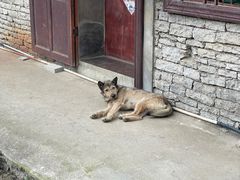 -高荡千年布依古寨旅游景区