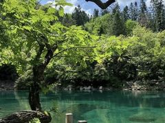 -石台牯牛降景区