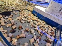 -澜悦港海鲜体验主题餐厅