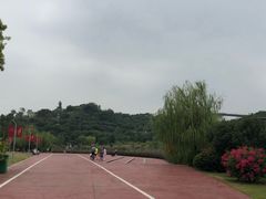 -飞凤山奥体公园