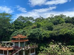 -深圳仙湖植物园