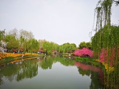 -圩墩遗址公园