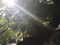 -青岛崂山太清宫