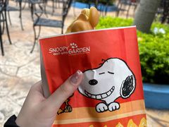 -史努比缤纷世界