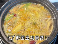 -野菌皇海景野生菌火锅(滨海大道店)