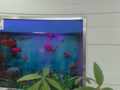 -雅悦齿科(顾村公园店)