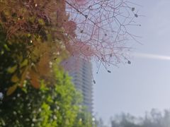 -木塔寺遗址生态公园