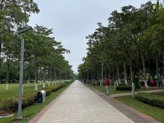 -万绿园